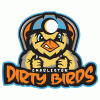 Charleston Dirty Birds