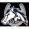 Martinsville Mustangs