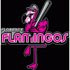 Florence Flamingos